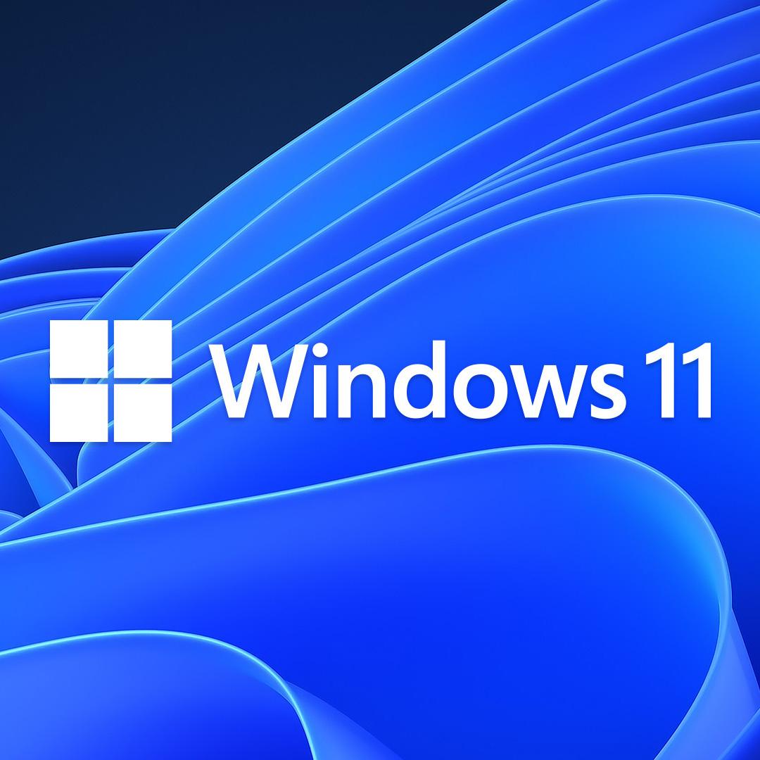 Windows 11